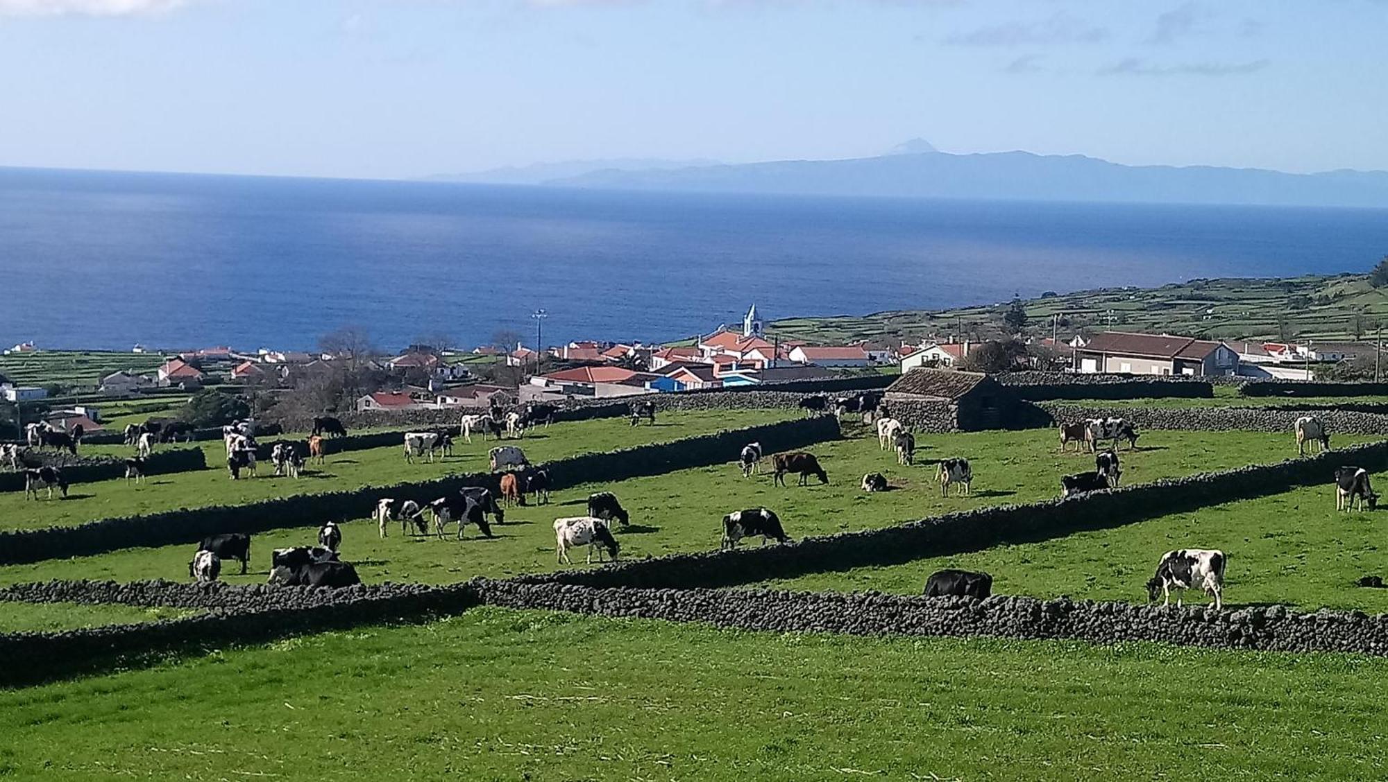 O Miradouro Lejlighed Angra do Heroísmo Eksteriør billede